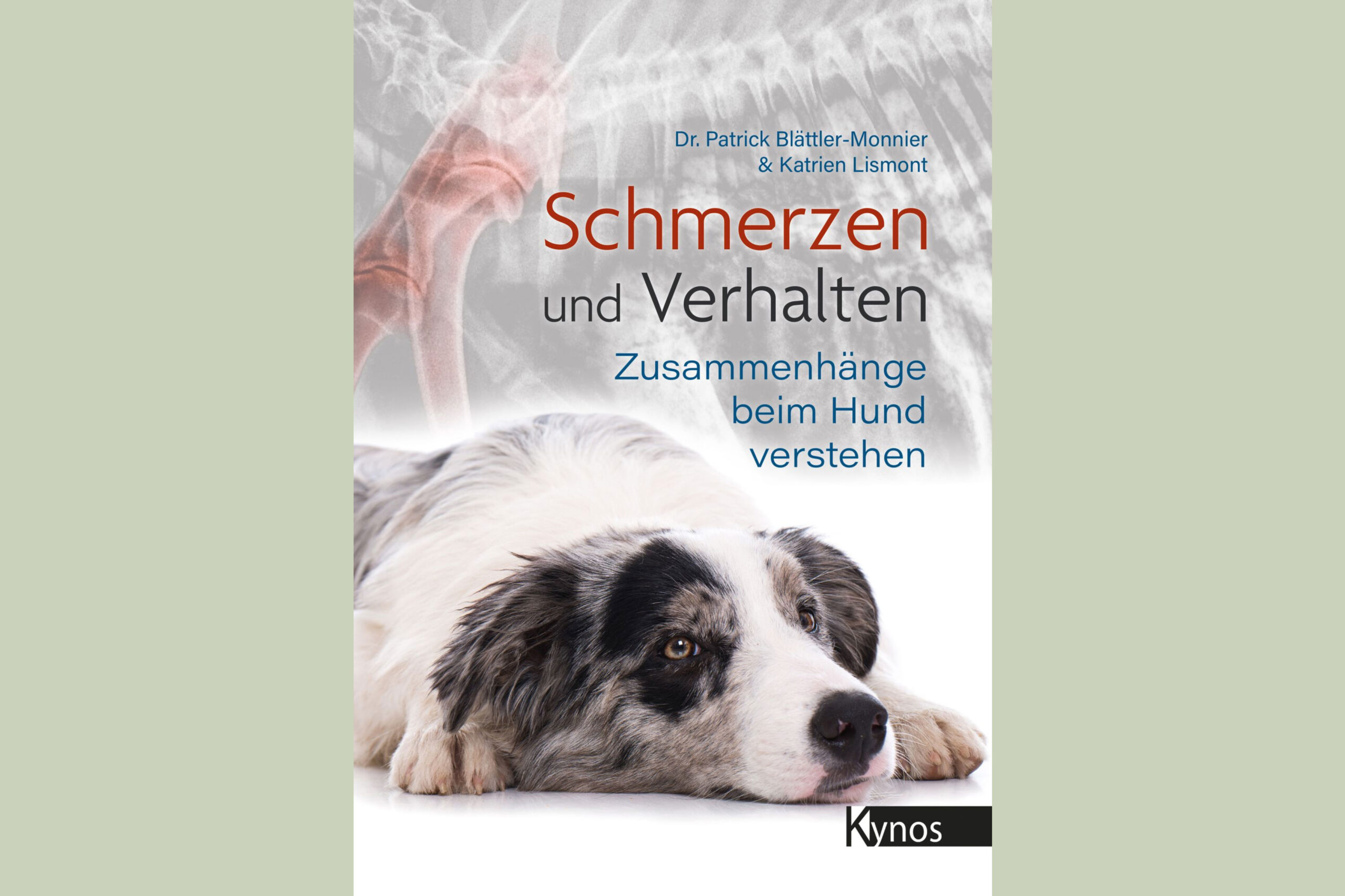 Buchcover Schmerzen und Verhalten