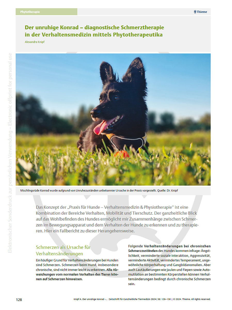 Praxis für Hunde | Dr. Alexandra Knipf