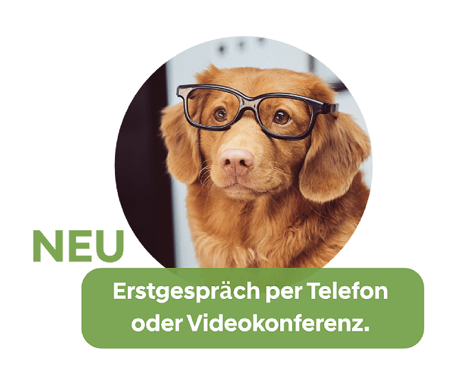 Praxis für Hunde | Dr. Alexandra Knipf