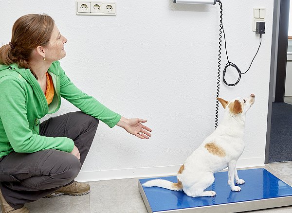 Praxis für Hunde | Dr. Alexandra Knipf