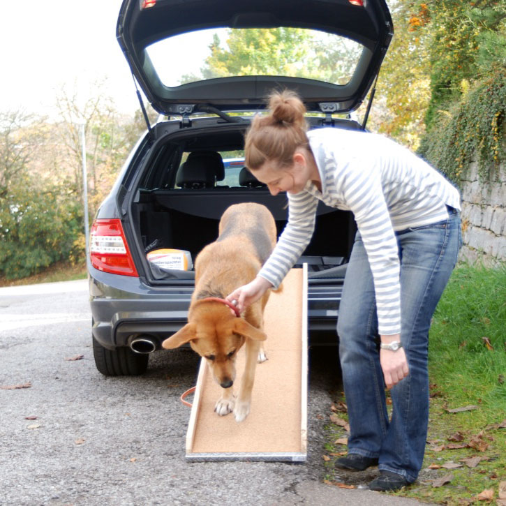 Praxis für Hunde | Dr. Alexandra Knipf - Hundeseniorin Dana auf der Autorampe